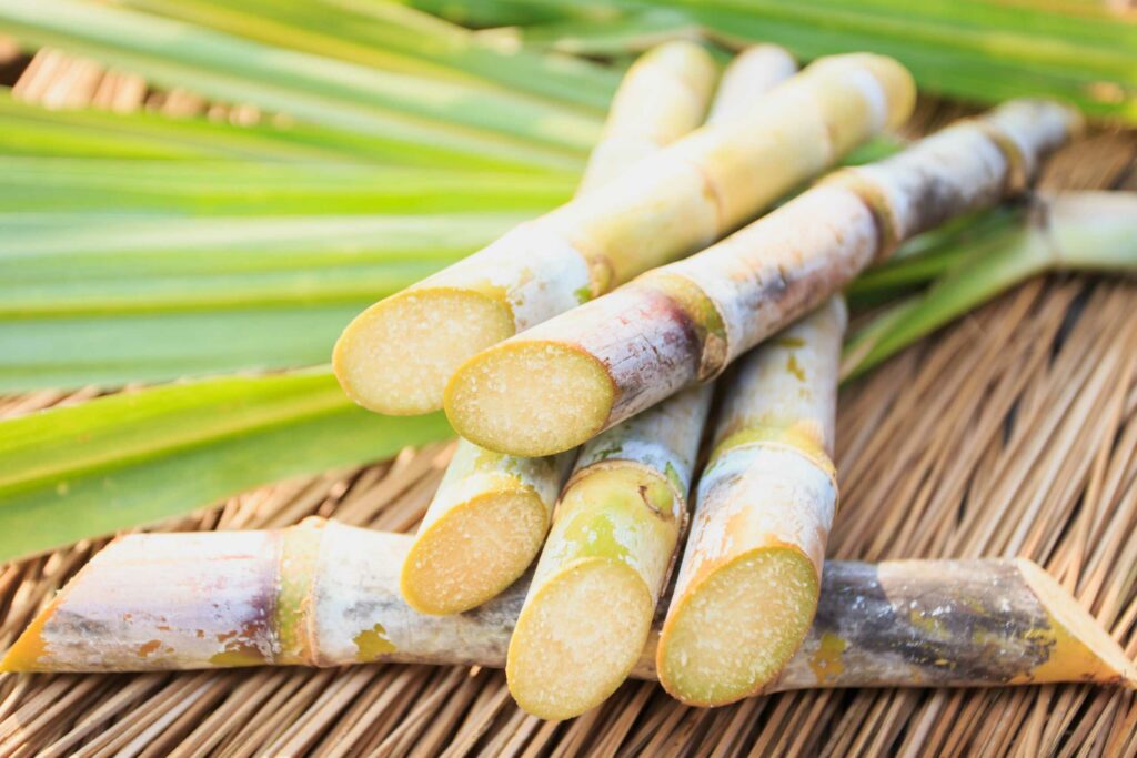 Top 10 Amazing Health Benefits of Sugarcane Juice